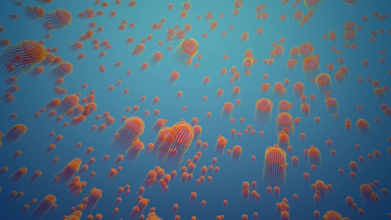 A Sea Of Jellyfish Live Wallpaper