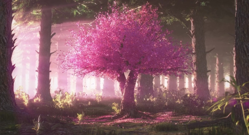 Cherry Blossom In The Forest Live Wallpaper