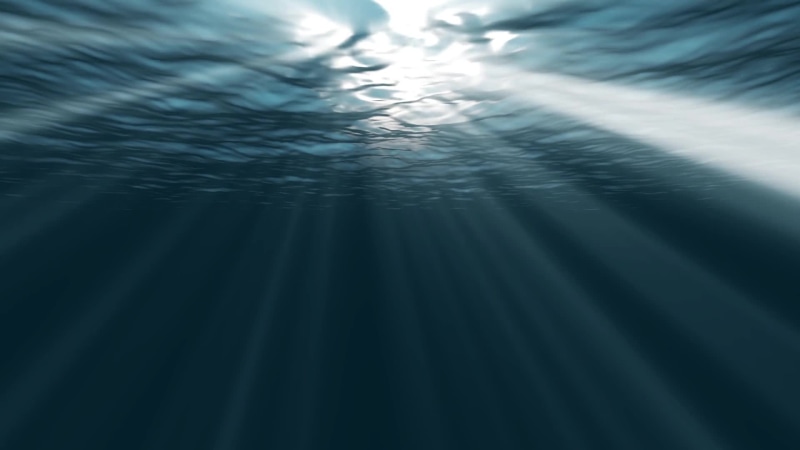 Under Ocean Live Wallpaper