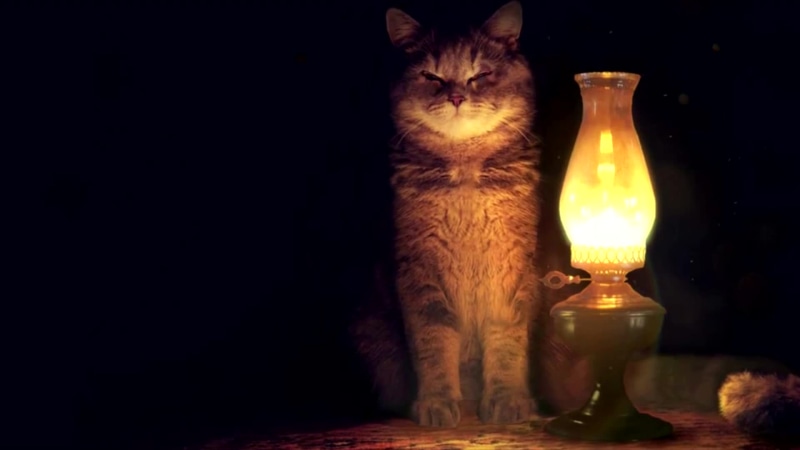 Lamp And Cat Live Wallpaper