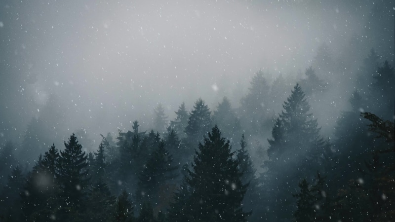 Snowfall In Forest Free Motion Background Animation - 4K Live Wallpaper