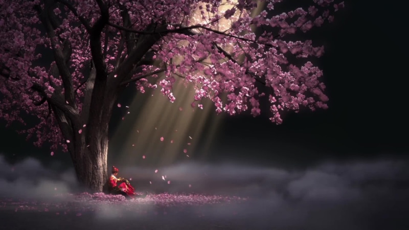 Anime Man Under The Flower Tree Live Wallpaper