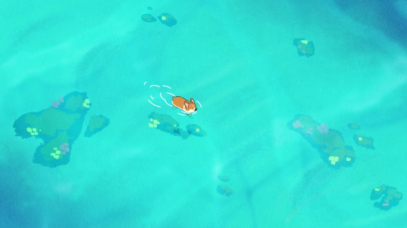 Doggie Corgi Swimming In The Water Live Wallpaper