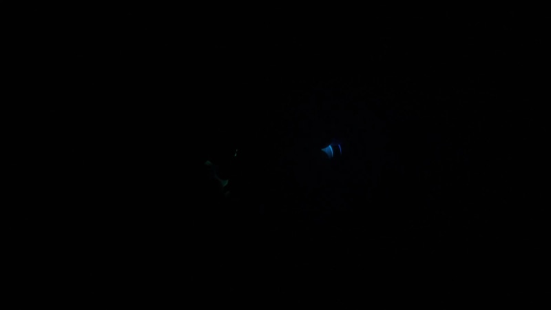 Light Streaks Cycle Live Wallpaper