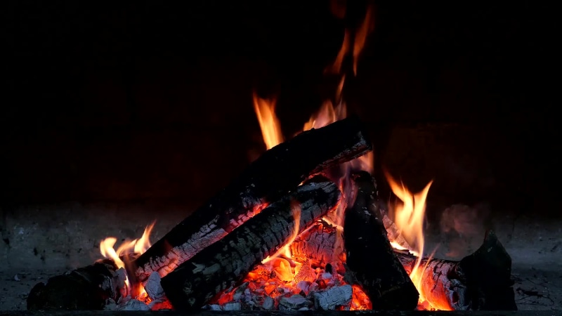 Camp Fire Live wallpaper - Live Wallpaper