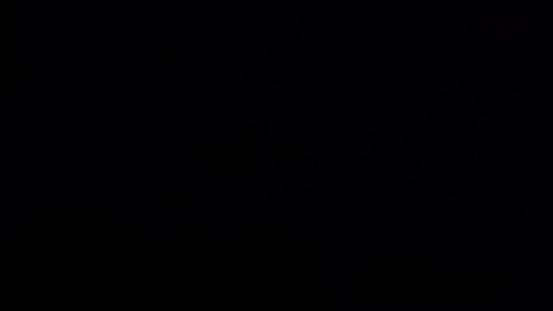Fallen angel Live Wallpaper