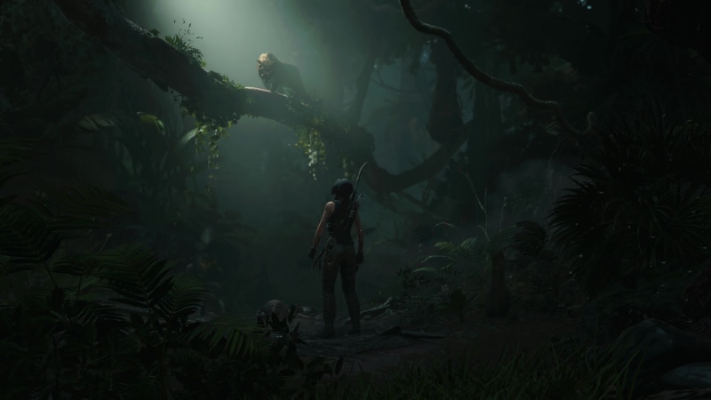 Shadow of the Tomb Raider Live Wallpaper