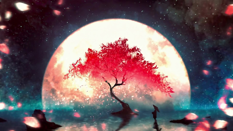 Cherry blossoms under the moonlight Live Wallpaper