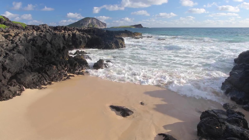 Hawaii Beach Wave Coast Sand Live Wallpaper