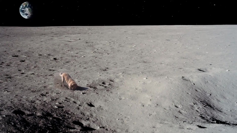 Dog On Moon Digging Holes Funny Desktop Live Wallpaper