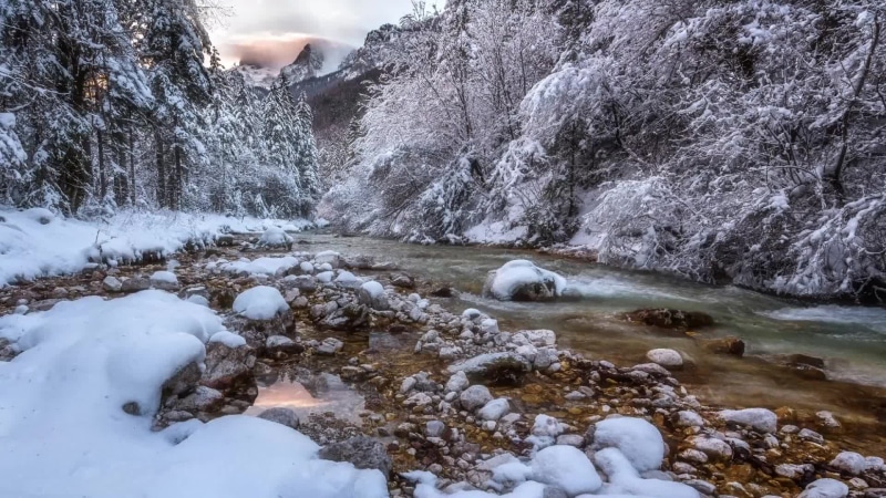 River In Frozen Winter Forest Live Wallpaper