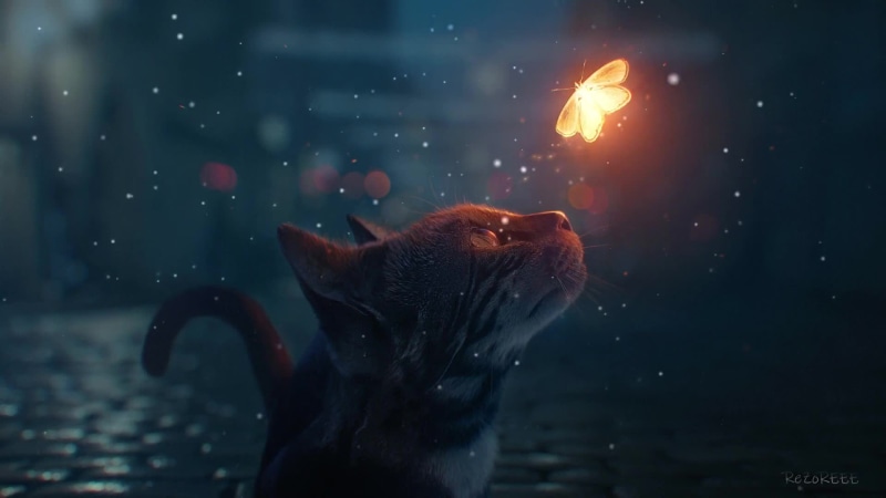 Cat Looking At а Glowing Fairy Butterfly Live Wallpaper