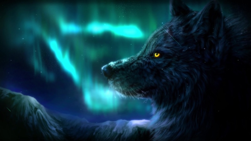 Aurora Borealis Wolf 4K Quality Live Wallpaper