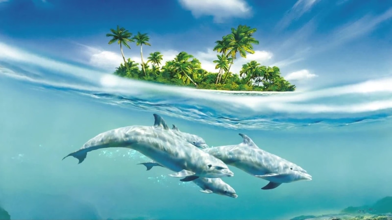 Dolphins Under Island Fantasy World Live Wallpaper