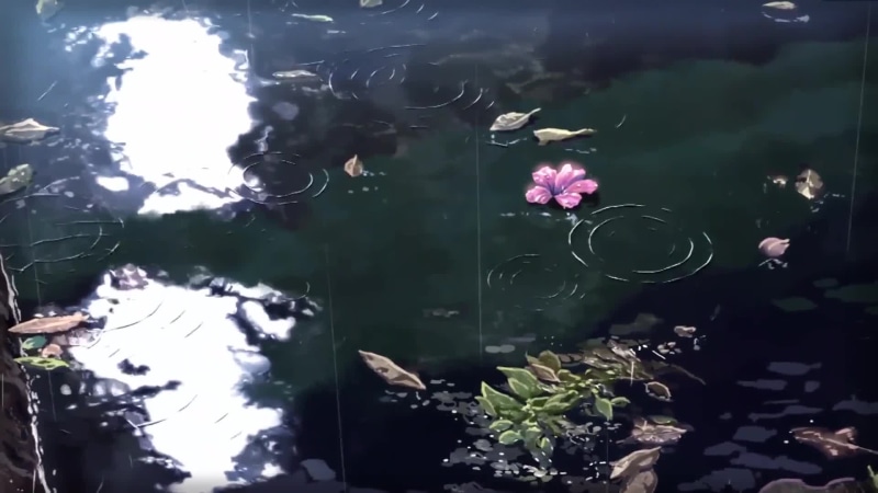 Rain Pond Lily in the Water Anime Nature Live Wallpaper
