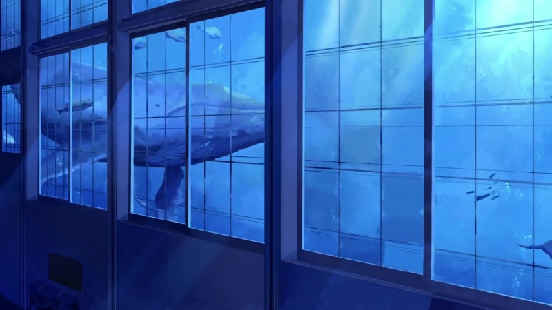 Whales Swimming Outside The Window, Huge Aquarium Live Wallpaper
