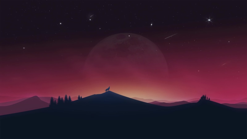 Lonely Wolf Under The Night Sky, Stars, Comets 4K Live Wallpaper