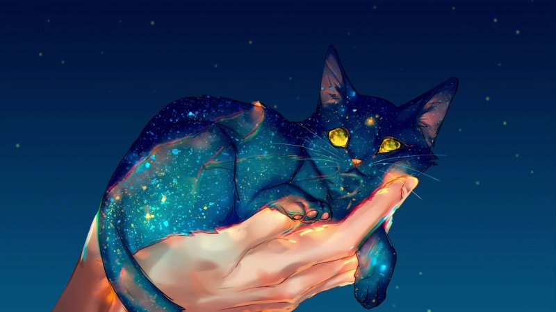 Fantasy Galaxy Cat at Hand 4K Quality Live Wallpaper