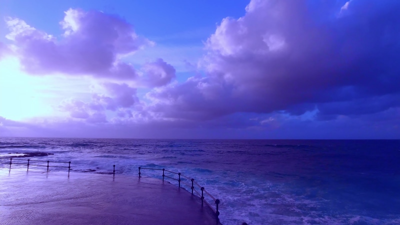 Purple Ocean View Live Wallpaper