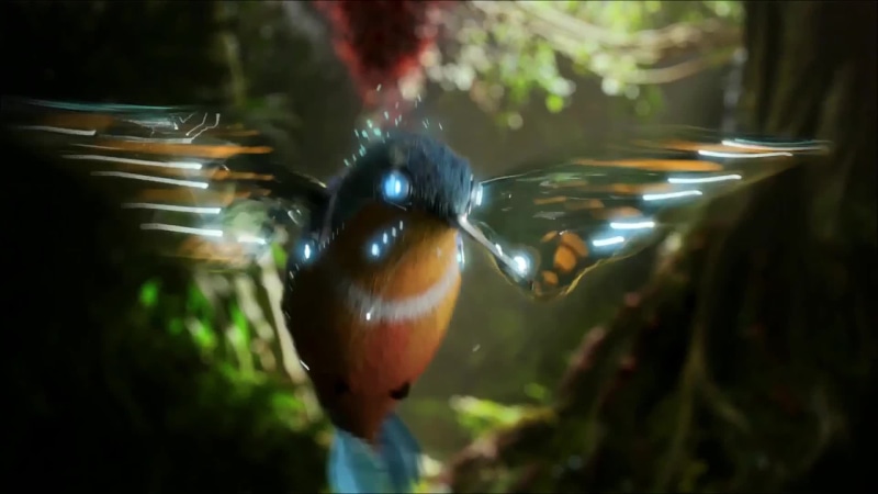 Hummingbird Live Wallpaper