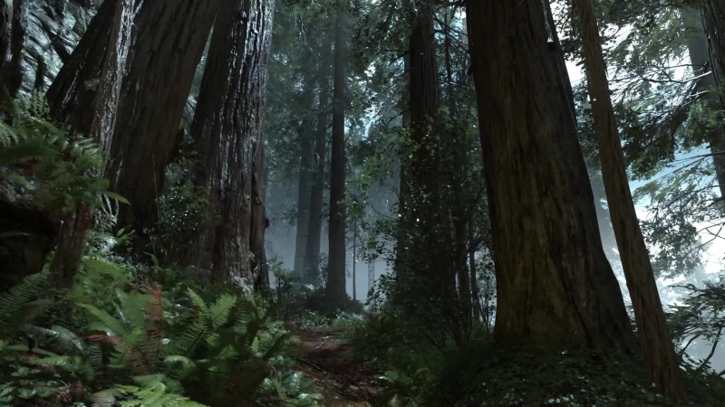 Endor Forrest Rain Live Wallpaper