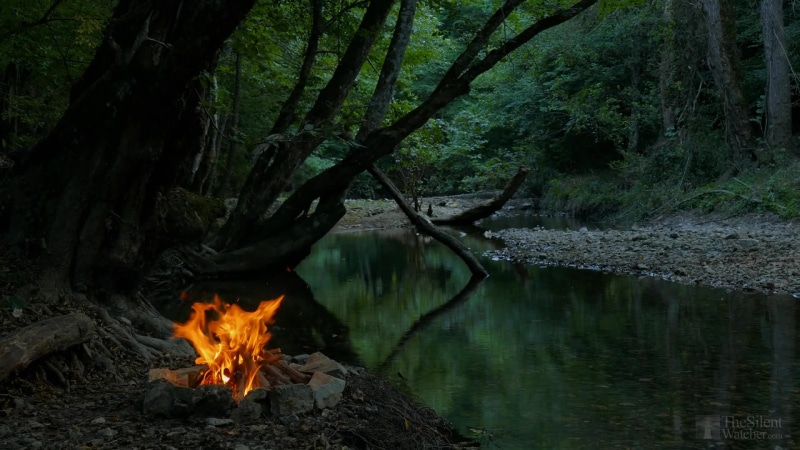 Bonfire by the river Live Wallpaper