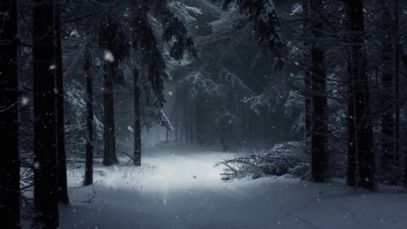Dark winter forest Live Wallpaper