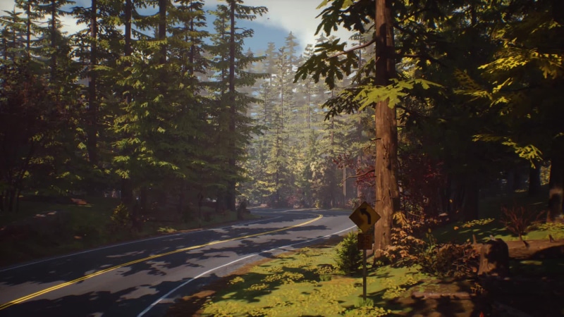 The road of Life is Strange 2 Live Wallpaper