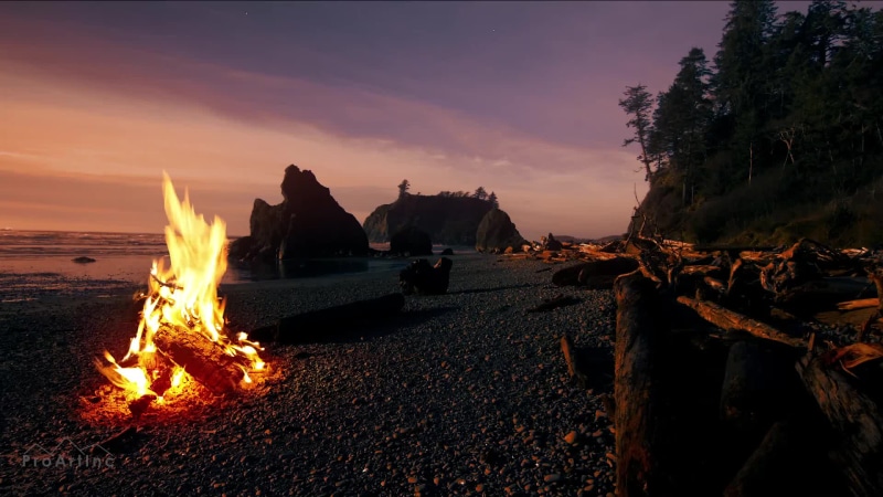 Bonfire on the beach Live Wallpaper