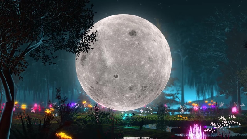 A small moon on the surface of the earth Live Wallpaper