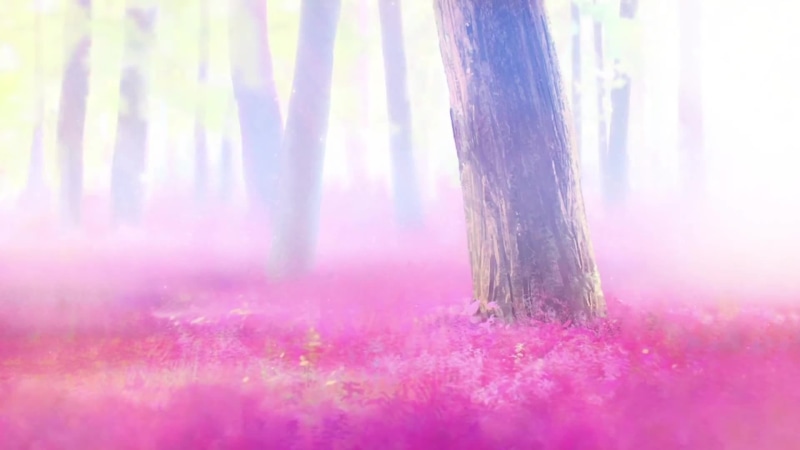Anime girl hiding behind a tree Live Wallpaper
