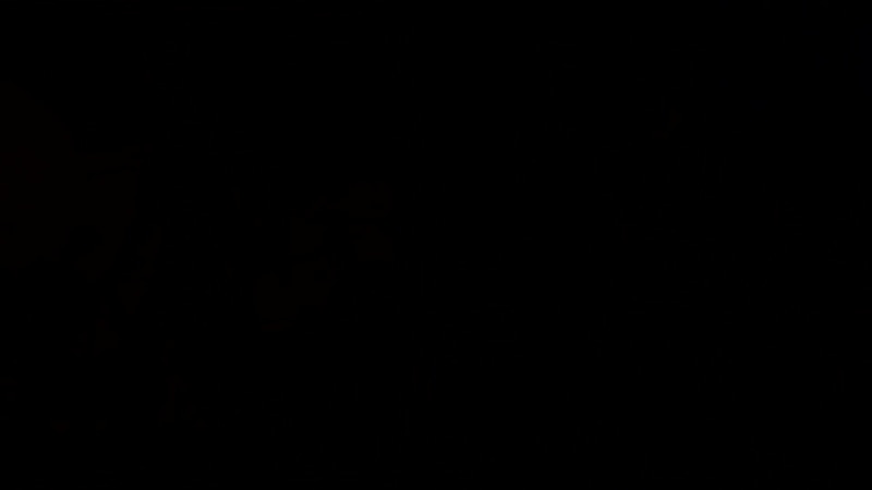 The Walking Dead Live Wallpaper