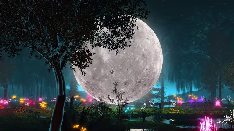 forest, arts, full moon, flowers, moon Live Wallpaper