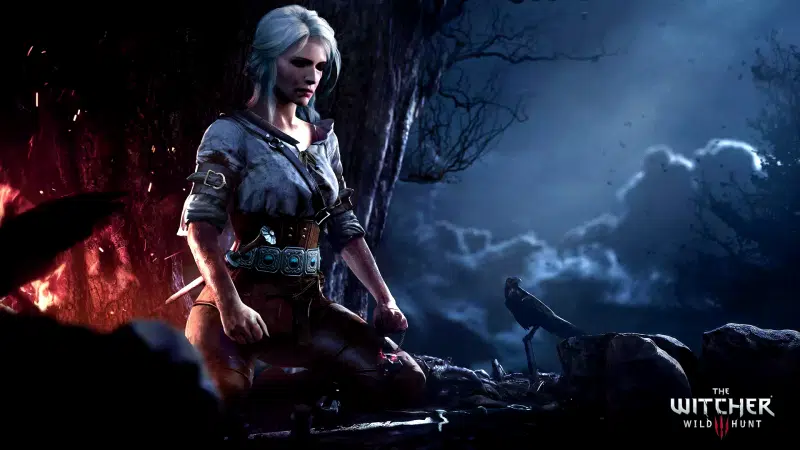 cirilla, raven, arts, the witcher, anime girls, night, anime, ciri, games Live Wallpaper