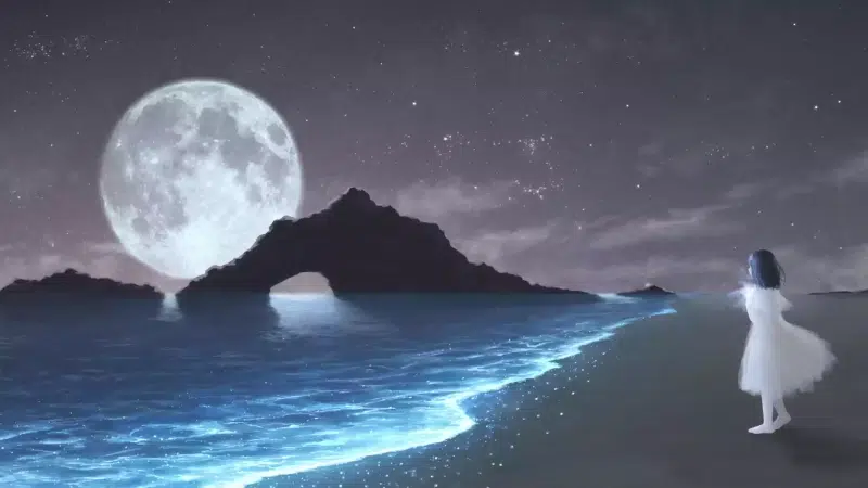 full moon, arts, girls, moon, sea, night Live Wallpaper