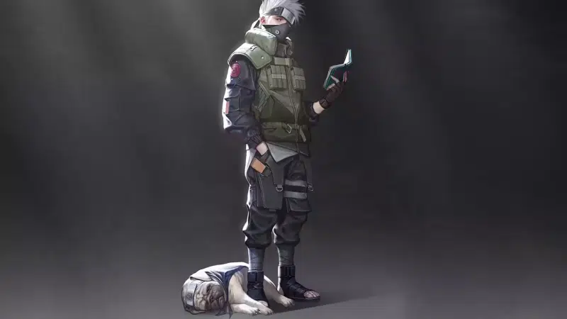 arts, pakkun, shinobi, anime, book, dog, naruto, animals, kakashi hatake Live Wallpaper