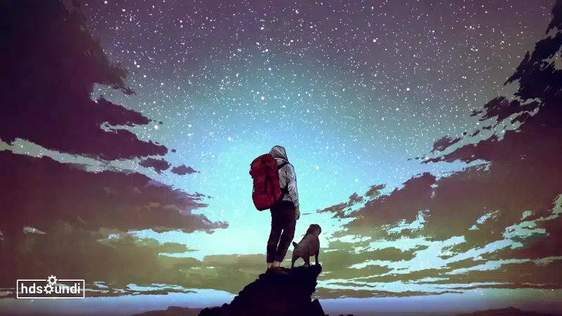 animals, landscapes - nature, dog, stars, sky, starry sky, rocks, arts Live Wallpaper