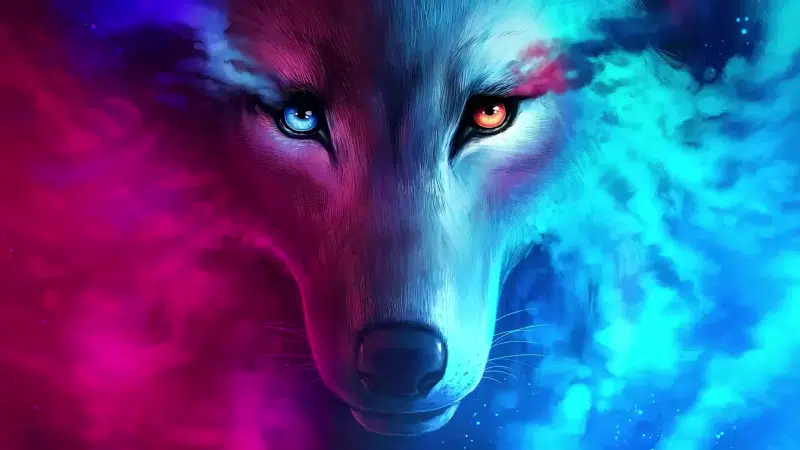 lupus, multicolored eyes, animals, smoke, arts, abstractions Live Wallpaper