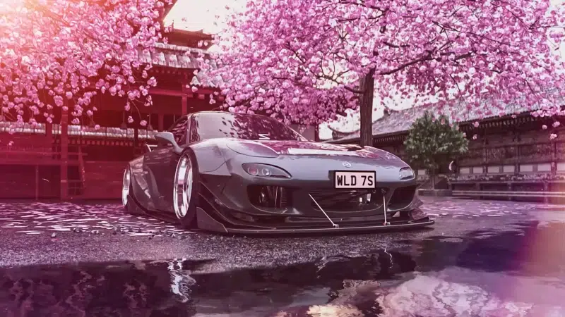 auto - moto, mazda, sakura, petals Live Wallpaper