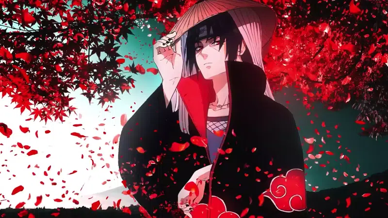 anime, arts, itachi uchiha, naruto, akatsuki, petals Live Wallpaper