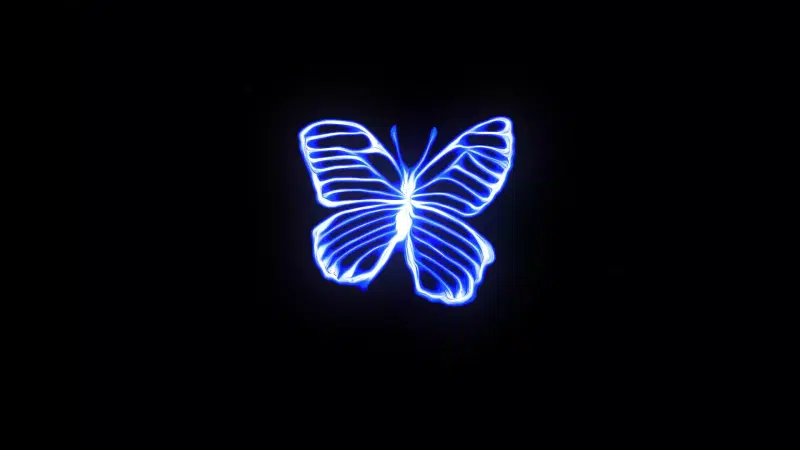 arts, black background, neon, butterfly Live Wallpaper