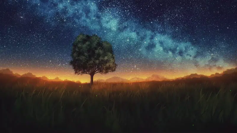 arts, night, starry sky, stars, tree, landscapes - nature Live Wallpaper