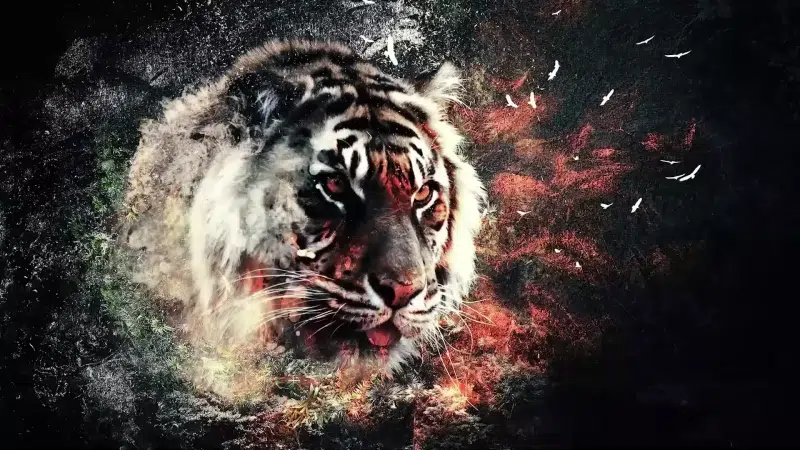 tiger, striped, black background, arts, animals, abstractions Live Wallpaper