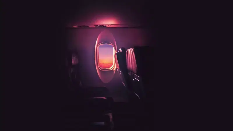 sunset, plane, window, different Live Wallpaper
