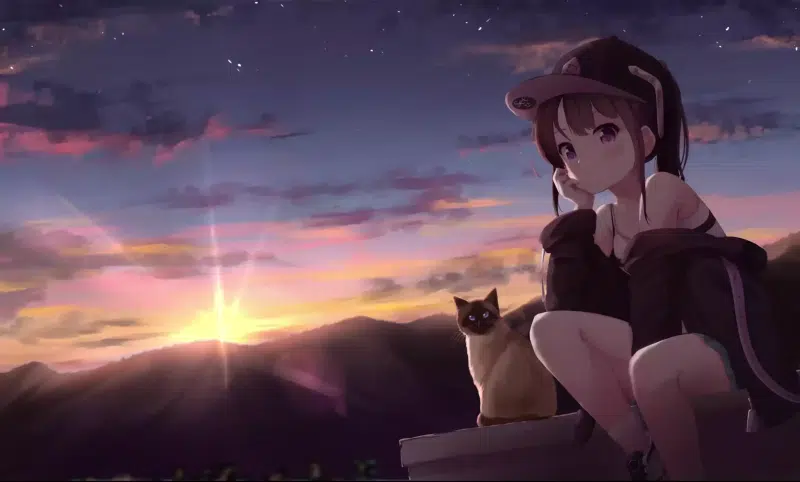 brown hair, long hair, anime, sky, landscapes - nature, purple eyes, sunset, anime girls, cap Live Wallpaper