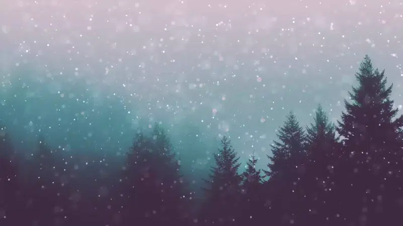 night, winter, snow, arts, forest, landscapes - nature Live Wallpaper