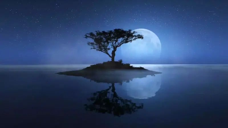 night, landscapes - nature, island, river, moon, tree Live Wallpaper