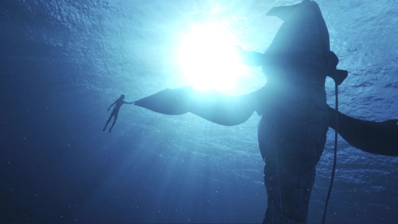 Avatar The Way of Water Live Wallpaper