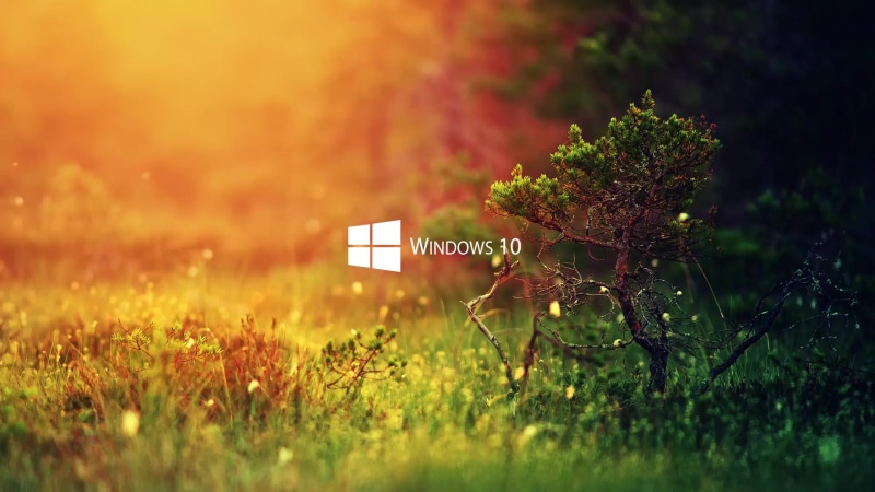 Windows 10 Logo Live Wallpaper