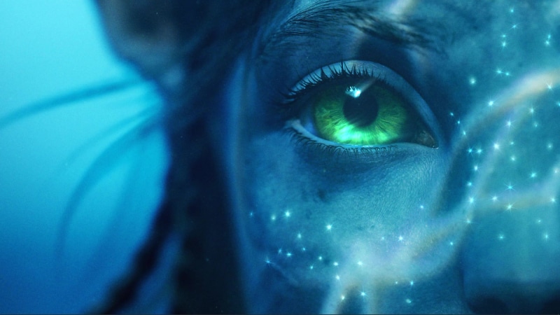 Avatar The Way of Water Live Wallpaper